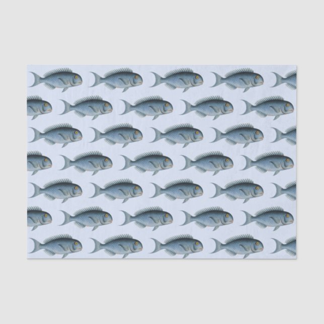 Seda Colegio de Papel Tejido Vintage de Pescado (Anverso)