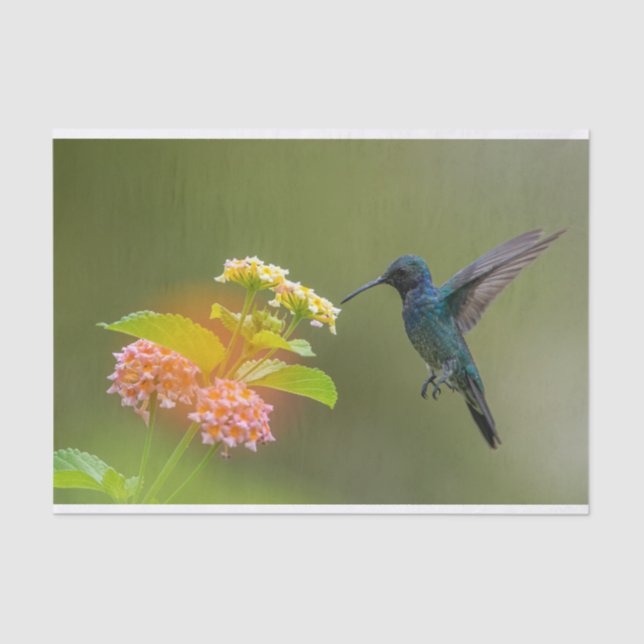 Seda Colibrí Con Papel Tejido De Flores (Anverso)