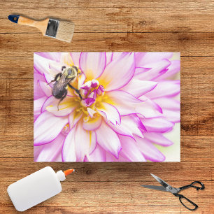 Seda Dahlia Blanca Y Rosa Con Papel Tejido De Abeja Bum