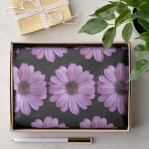 Seda Daisy morado en papel de tejidos negros
