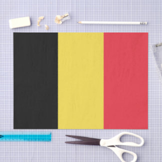 Seda decoración de moda de Bélgica, papel tisú de la ba