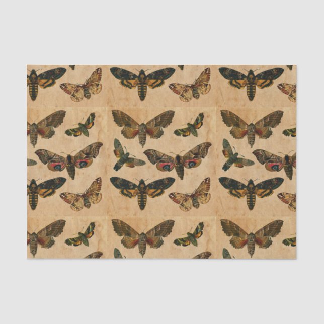 Seda Decoración de papel manchado de mariposas oscuras (Anverso)