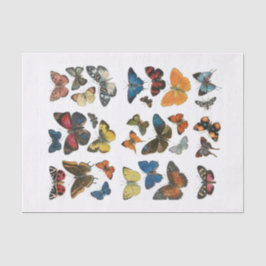 Seda Desconexión de mariposa de papel de tejidos