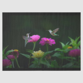 Seda Dos Papel De Tejido De Hummingbirds