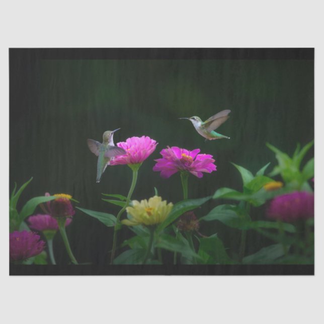 Seda Dos Papel De Tejido De Hummingbirds (Anverso)