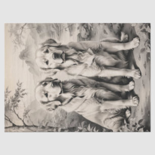 Seda Dos Papel Tejido Retrato De Perros De Recuperación