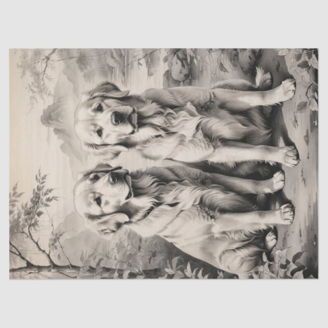 Seda Dos Papel Tejido Retrato De Perros De Recuperación (Anverso)