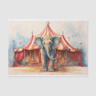 Seda Elefante Circus 1 Papel de desconfianza