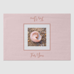 Seda Elegante concha de mar en papel de té de regalo ro