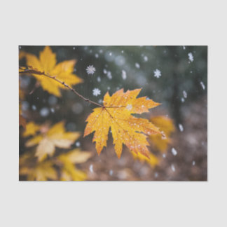 Seda "Elegante Papel de Tejido Patentado"