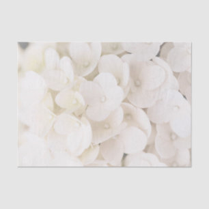 Seda Elegante Papel Tejido Floral De Pétalos Blancos