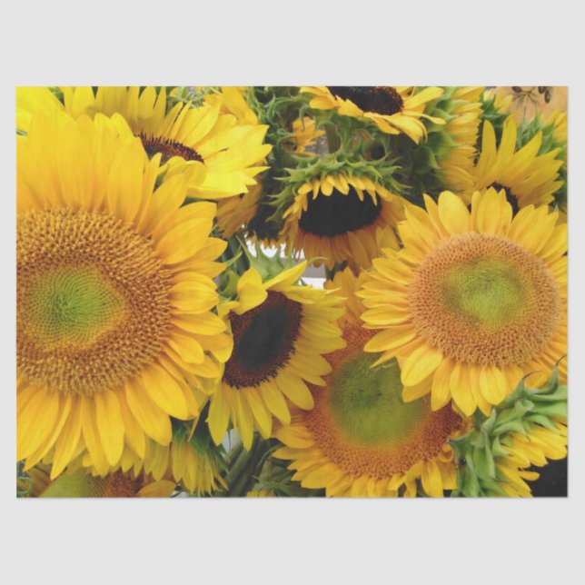 Seda Envoltura de papel de verano con girasoles amarill (Anverso)