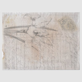 Seda Esbozo botánico de la escritura antigua papel de d