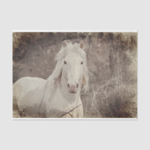 Seda Estallión Broadfoot 18 ob. Papel de descomposición