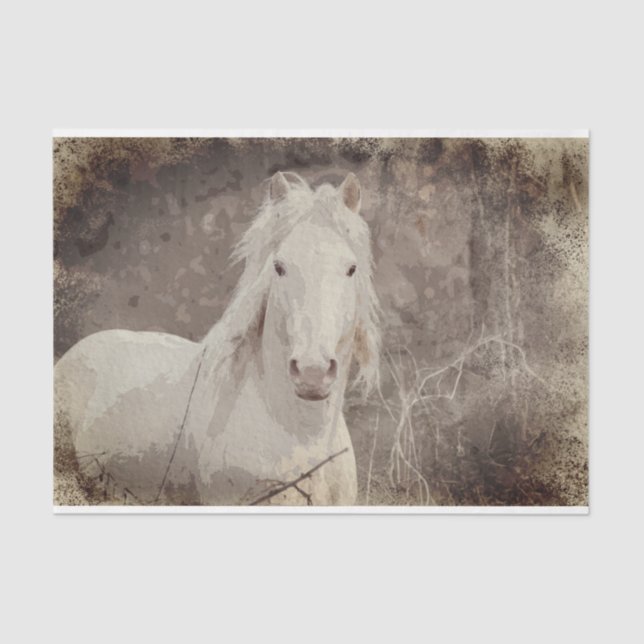 Seda Estallión Broadfoot 18 ob. Papel de descomposición (Anverso)