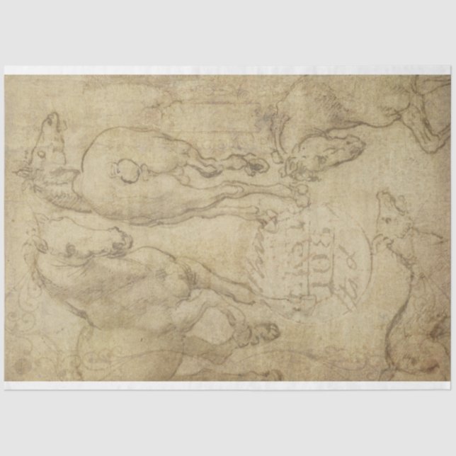 Seda Estudio de un papel de descascaramiento de caballo (Anverso)