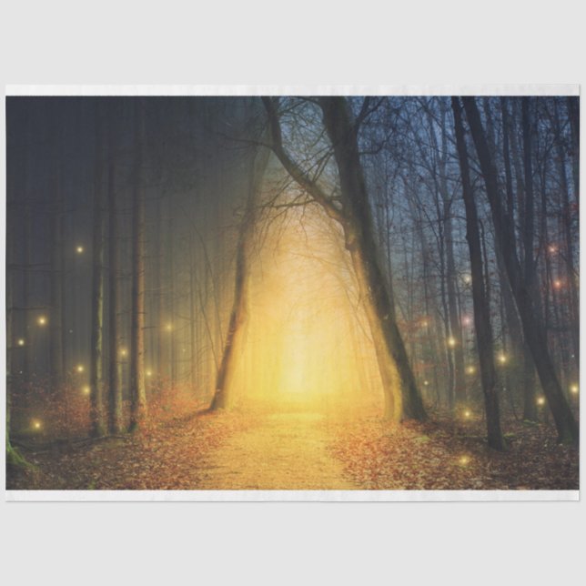 Seda Fantasía Iluminación Forestal 19 Papel de tono de  (Anverso)