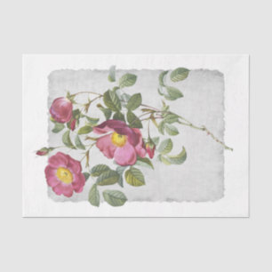 Seda Flor 45 Papel Tejido De Descascaramiento Rosa