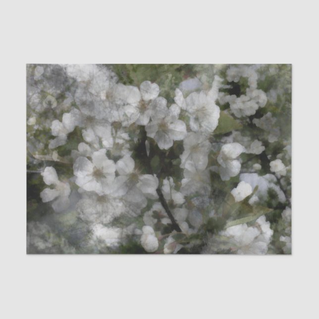 Seda Flores de cerezo Papel de té (Anverso)