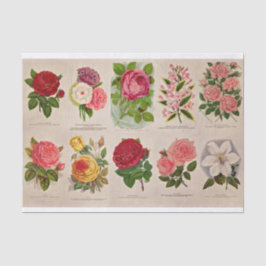 Seda Flores de cosecha para papel de color o desconchad