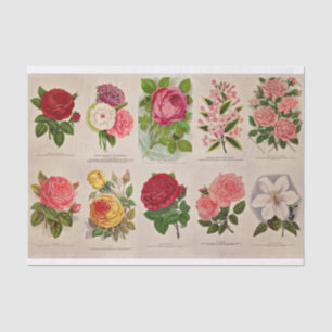 Seda Flores de cosecha para papel de color o desconchad