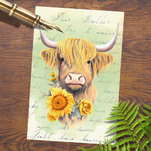 Seda Flores de vaca Highland 1 Papel de descomposición