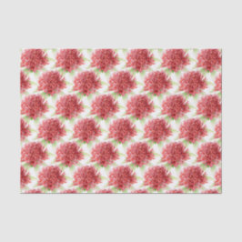 Seda flores de waratah acuarela roja papel tisú botánic