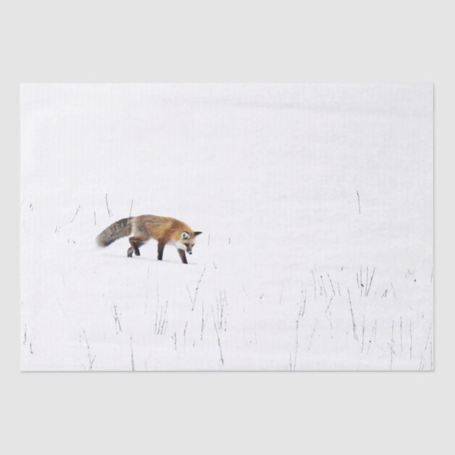SEDA FOX ROJA EN PAPEL DE TEJIDO DE NIEVE (Anverso)