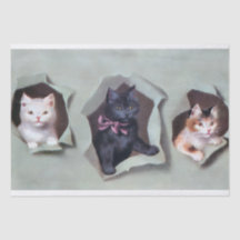 Gatitos antiguos rompiendo papel de regalo lindos