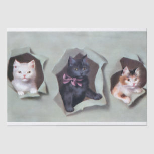 Seda Gatitos antiguos rompiendo papel de regalo lindos