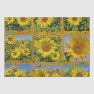 Seda girasoles amarillos en papel de verano