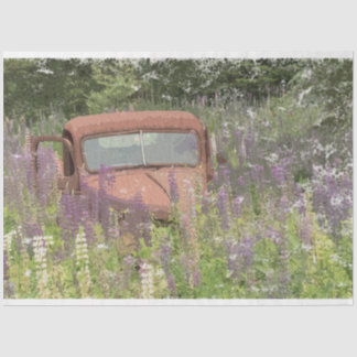 Seda GMC en Lupines de 18 libras. Papel de descomposici