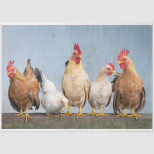 Seda Granja de pollo de aves de corral 2 Papel de tejid