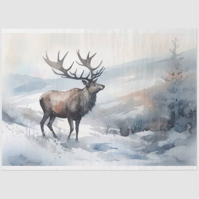 Seda Grapar en papel de niebla 2 (Anverso)