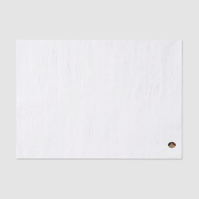 Seda HAMbyWG - Papel de tejidos de 10 lb, azul claro (Anverso)