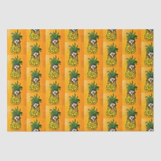 Seda Hedgehog y el papel del tejido de piña
