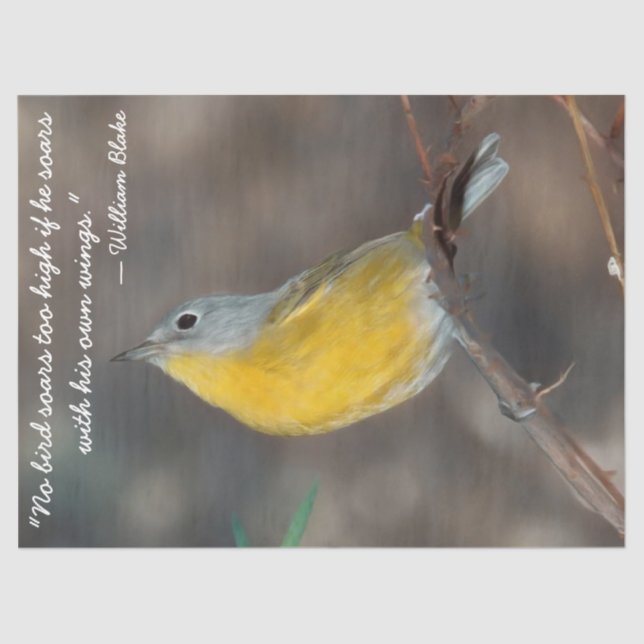 Seda Hermoso papel de tejido con aves (Anverso)