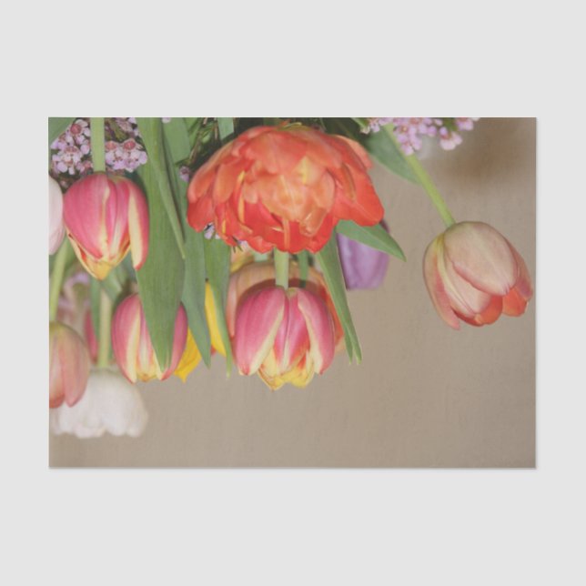 Seda Hermoso papel de tejido floral de primavera (Anverso)