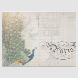 Seda Horizontal de papel de Decoupage de las Ephemeras