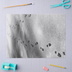 Seda Huellas de papel de tejidos de nieve