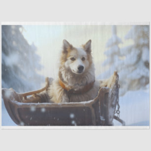 Seda Husky en el papel de deshielo 1 de Sleigh