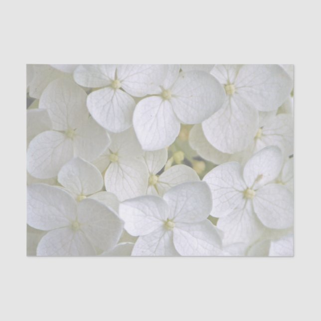 Seda Hydrangea 6775 Papel de tejidos (Anverso)