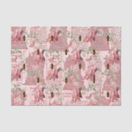 Seda Insectos antiguos y papel de periódico