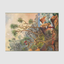 Island Ernst Haeckel Papel del tejido de la descon