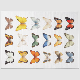 Seda Kaleidoscope de mariposas 1 Papel de desconfianza