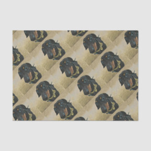 Seda LeBron el papel de Dachshund Wrapping.