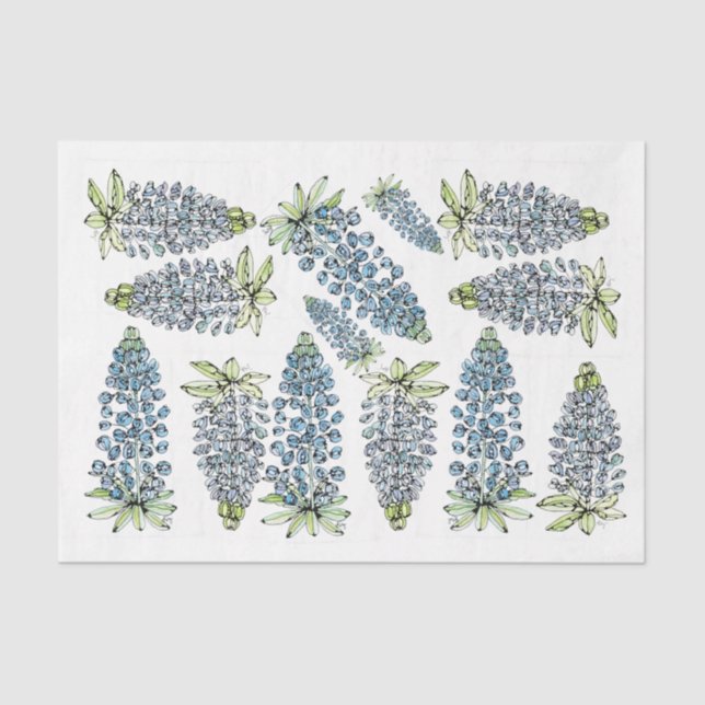 Seda Lupines de Texas Bluebonnets - Papel de tono de de (Anverso)