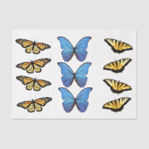 Seda Mariposas - Papel de tono de descomposición
