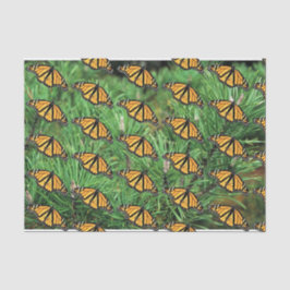 Seda Monarcas de papel de tejidos en los arcos de pino