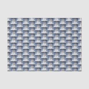 Seda Muñeco de nieve con fondo - Papel tisú
